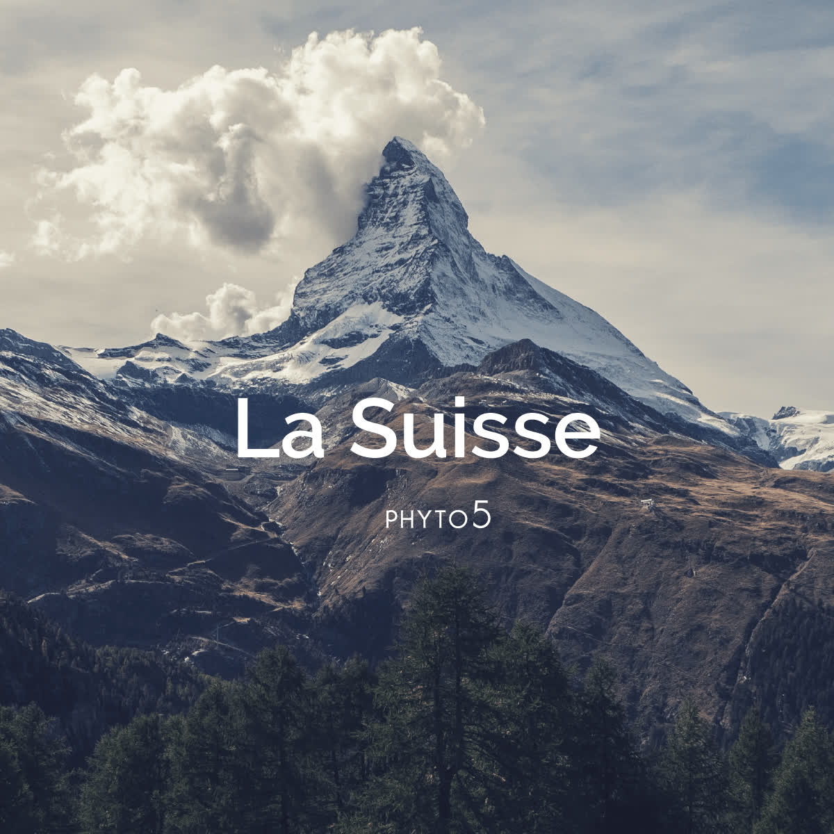 Phyto 5 Gamme Suisse